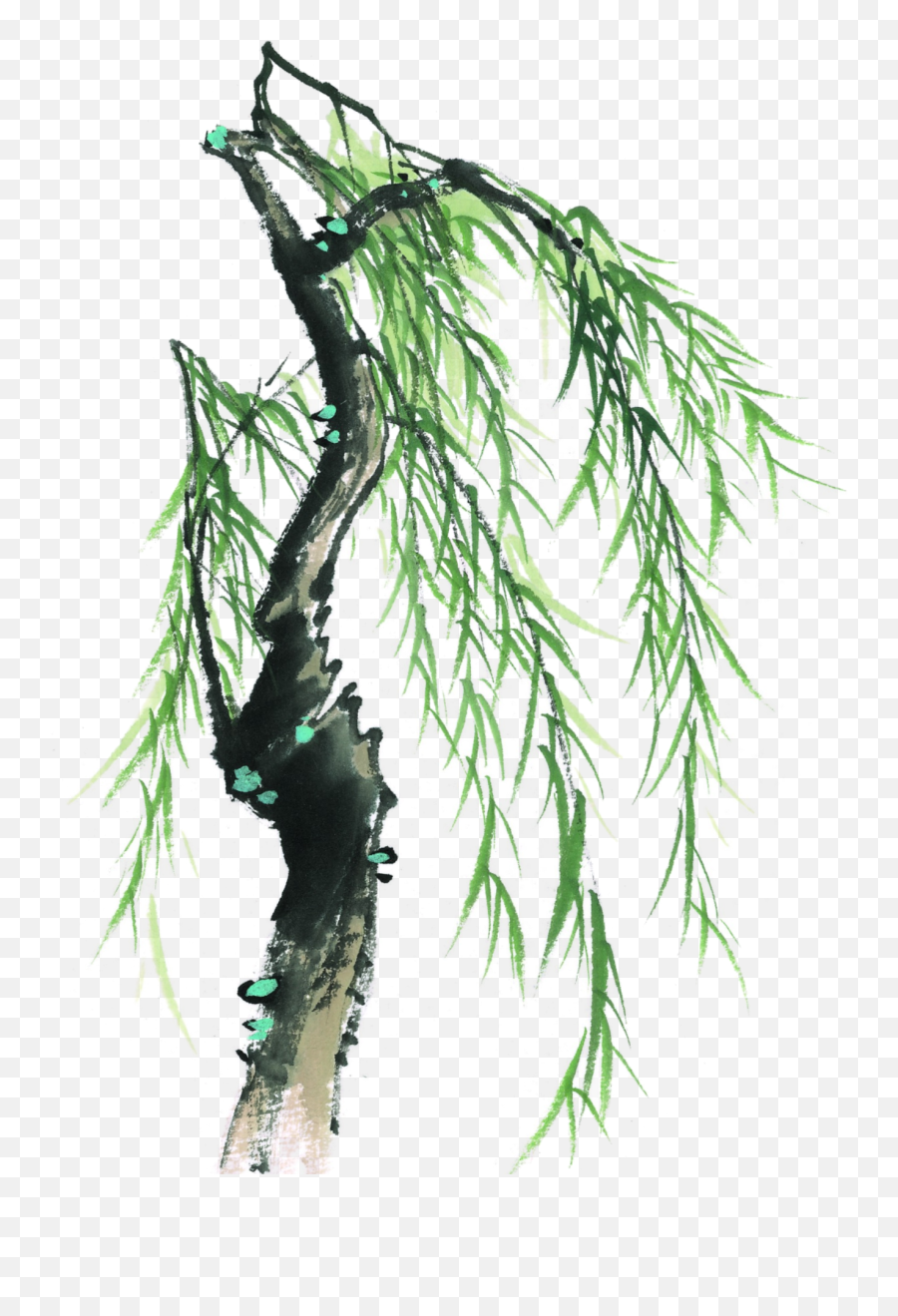 Download This Graphics Is Painted Willow Tree Element Design Png