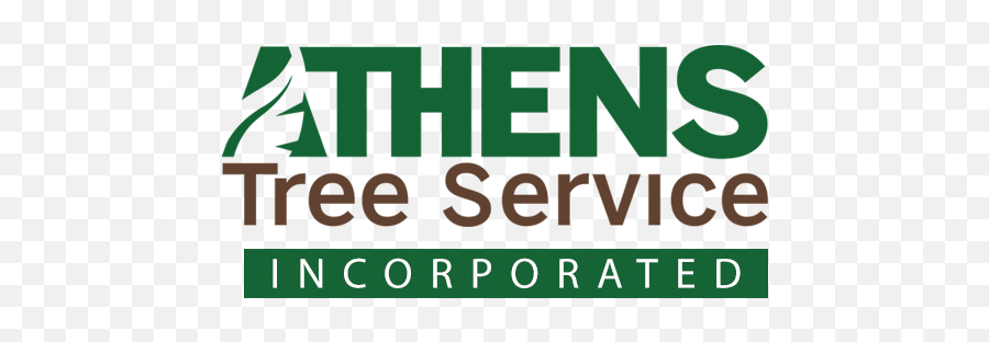 Athens Tree Service Inc Reviews - Belton Sc Angieu0027s List Printing Png,Angies List Logo Png