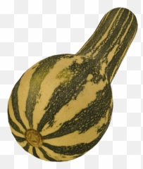 Squash Cucurbita Moschata 3d Scanned Model For Games Vr And Ar - Watermelon Png,Zucchini Png