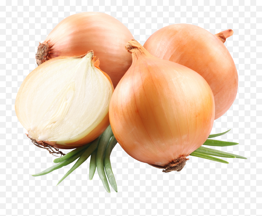 Onion No Background - Onions Png,Onion Transparent Background
