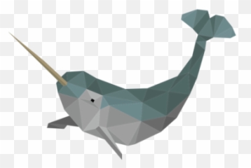 Narwhal Png And Vectors For Free - Narval Png,Narwhal Png