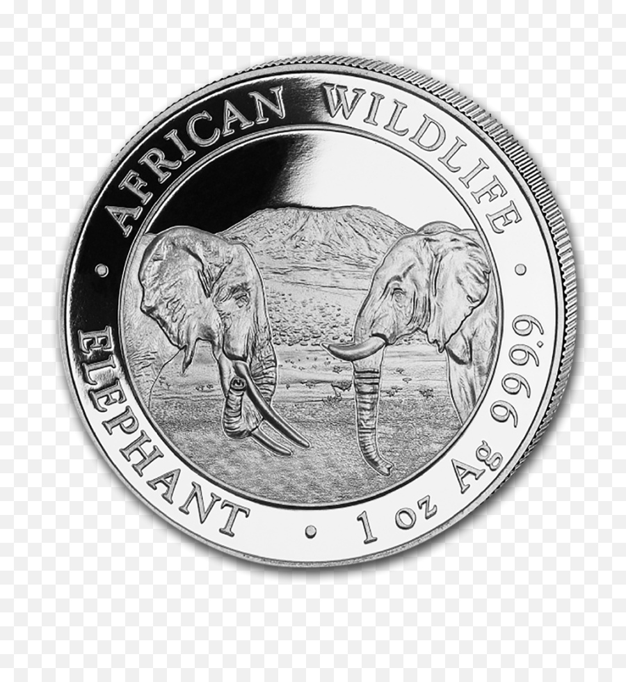 Somalia Elephant - Somalia Elephant Silver Coin Png,Coin Transparent