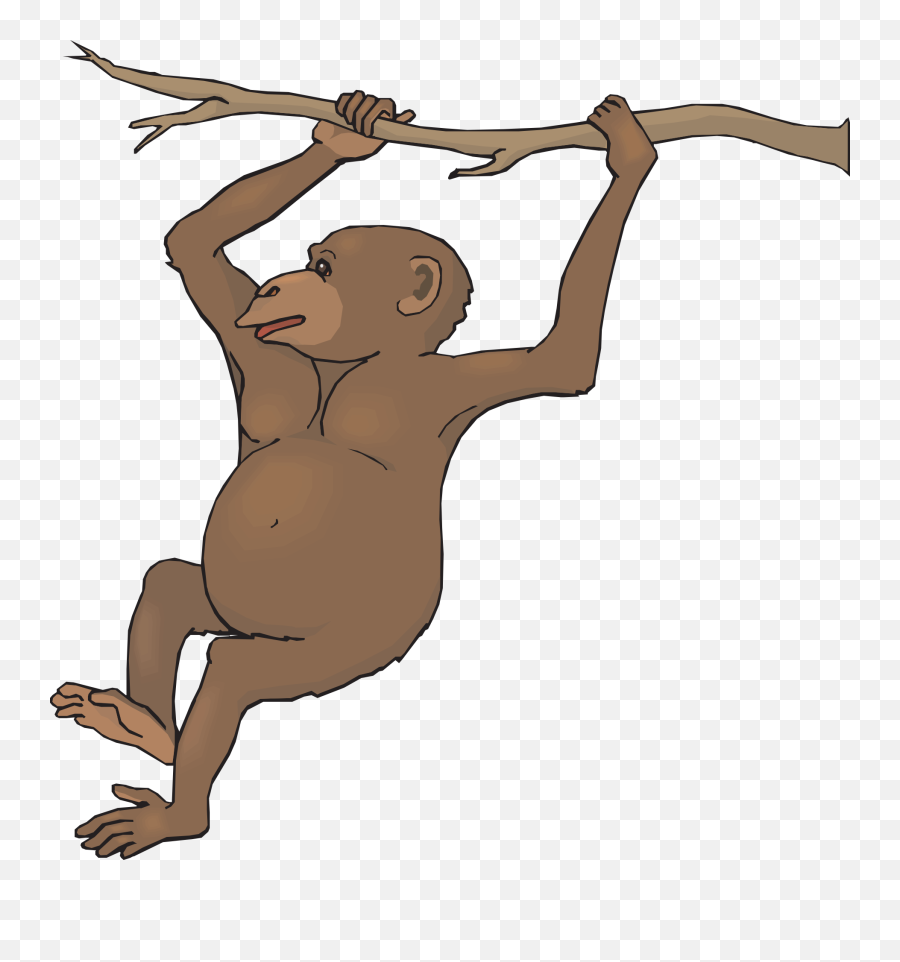Branch Swinging Animal - Realistic Monkey Clip Art Png,Chimp Png