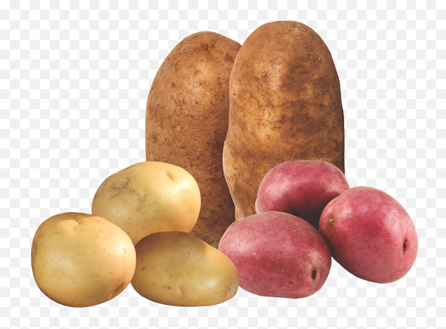 Progressive Produce Guide - Tuber Png,Potatoes Png