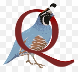 Quail Hollow Events U2013 The Hudson Valleyu0027s Premier Artisan - Art Png,Quail Png