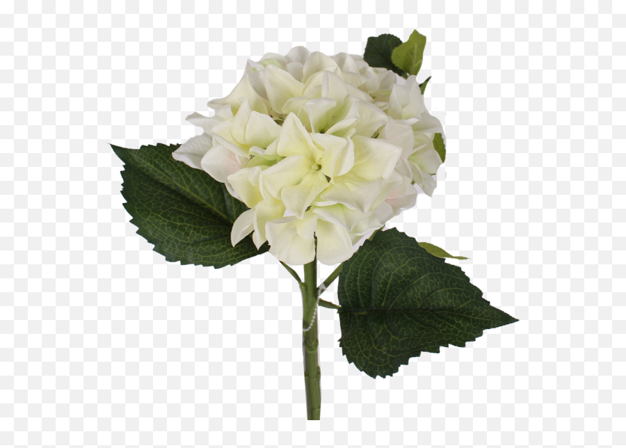 Download Transparent Hydrangea Bush Png - Artificial Flower,Flower Bush Png