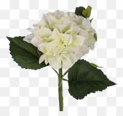 Download Transparent Hydrangea Bush Png - Artificial Flower