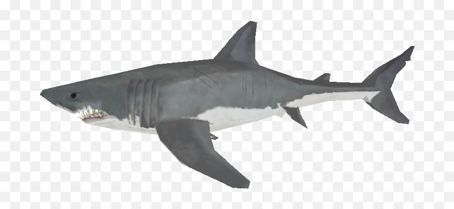 Pc Computer - Zoo Tycoon 2 Great White Shark Male The Great White Shark Png,Great White Shark Png