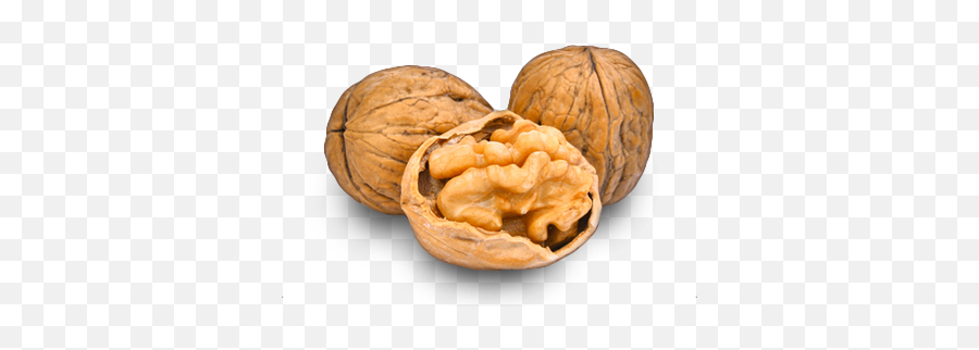 Nutnose U2013 Nuts Seeds And Dried Fruit - Walnut Png,Walnuts Png