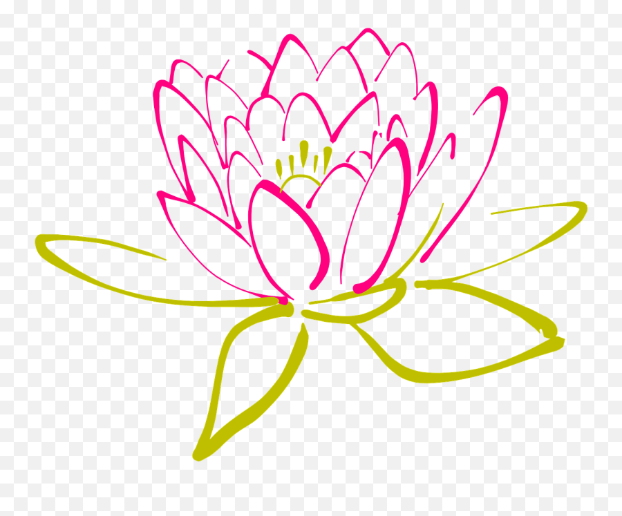 Lotus Flower Graphic Png - Lotus Flower Water Lily Bloom Png Abstract Clip Art Png,Lotus Flower Transparent Background