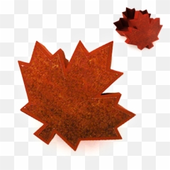 Maple Leaf Information Shape - maple png download 1500 Leaf