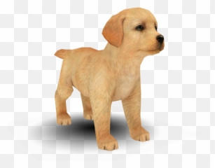 Labrador Png - Download Zip Archive Shiba Inu Nintendogs Nintendogs Cats Shiba Inu,Shiba Inu Png