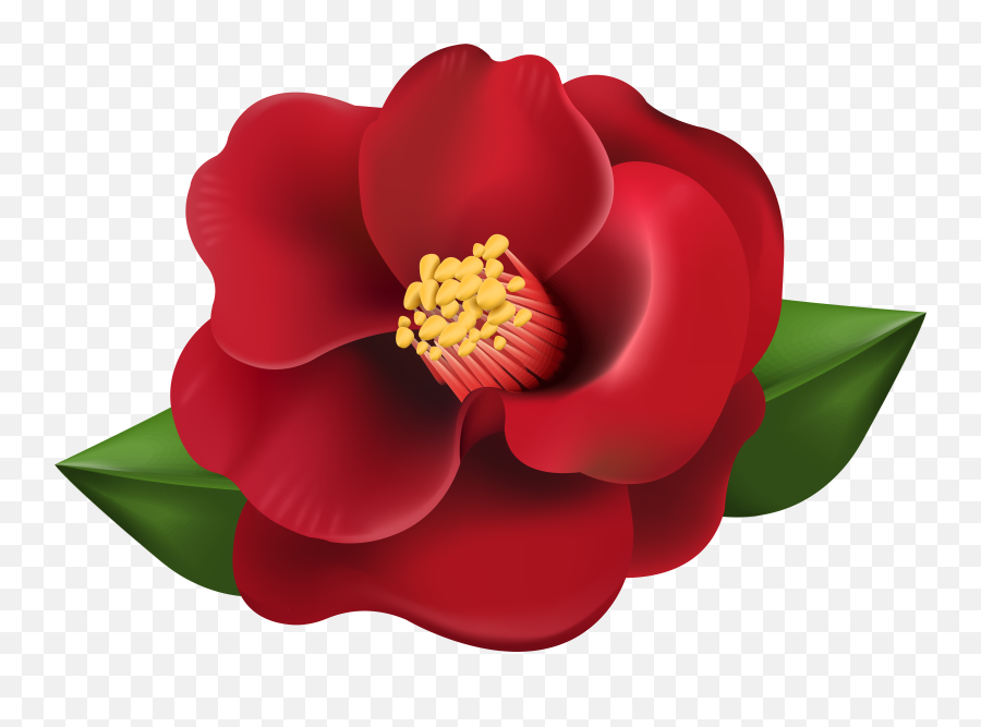 Picture - Transparent Red Flower Clipart Png,Japanese Flower Png