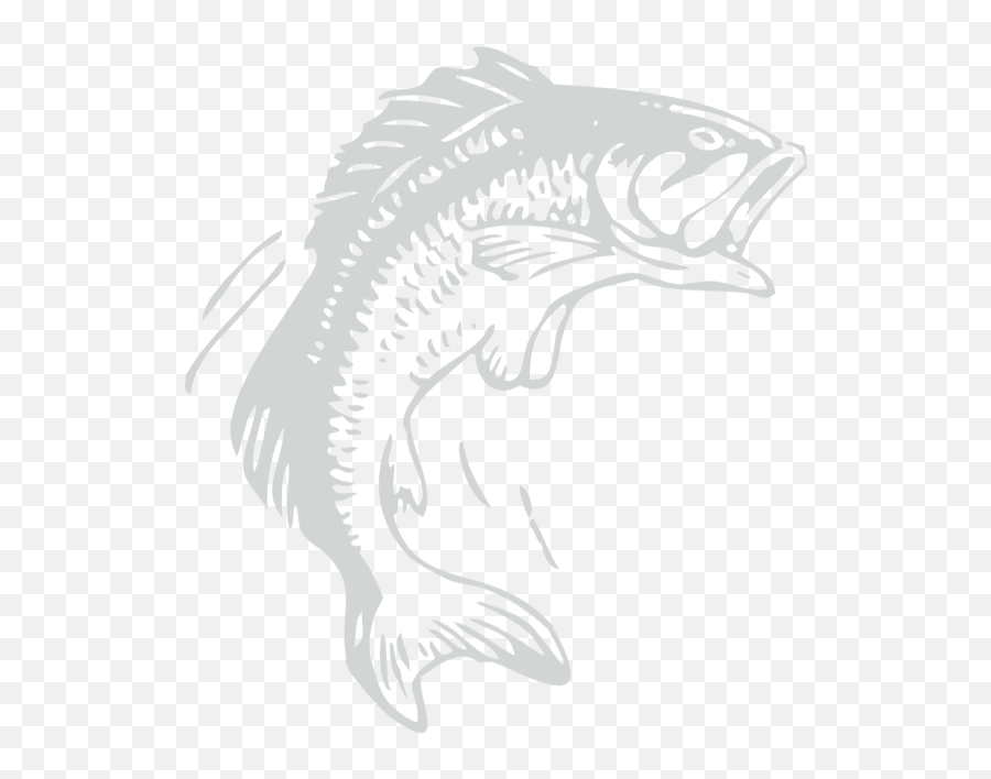 Green Bay Wi Fishing Guide - All About That Bass Fishing Png,Bass Fish Logo