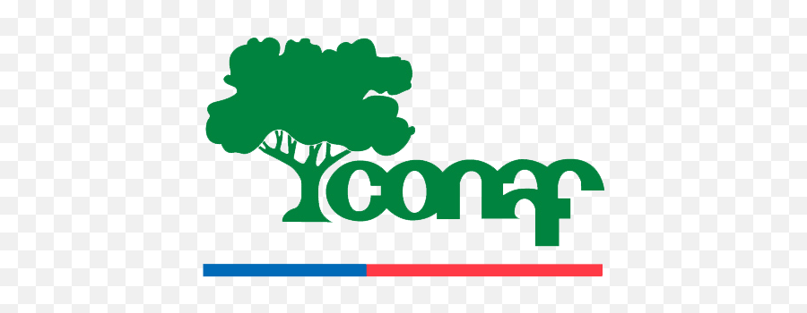 National Forest Corporation Chile - Wikipedia Conaf Png,Forest Service Logo