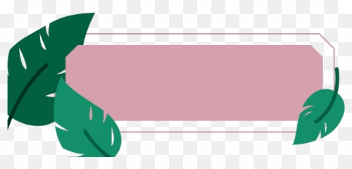 Lower Third Floral 1 - Horizontal png