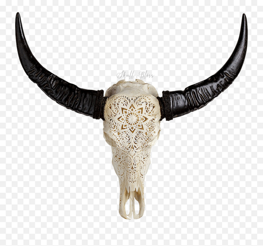Carved Buffalo Skull - Vikingu0027s Sword Png,Skulls Transparent