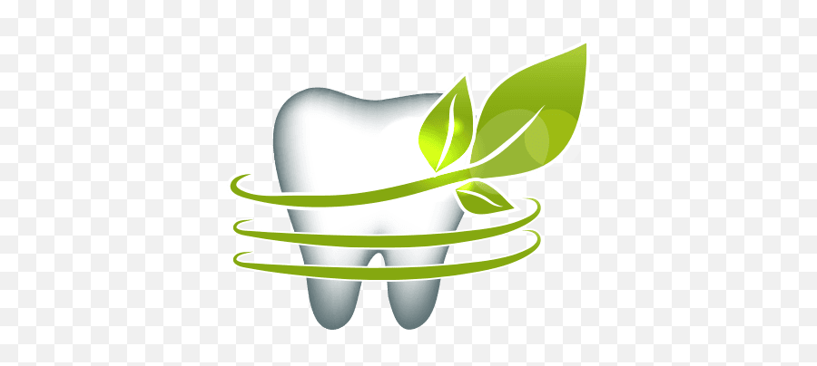 Olive Branch Dental Care - Single Teeth Image Png,Olive Branch Icon