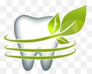 Olive Branch Dental Care - Single Teeth Image Png
