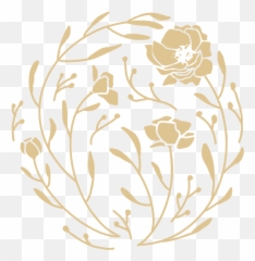 View Recent Sesssions Alyson Berg Photography - Decorative png