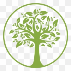 Home - Olive Grove Charter School png