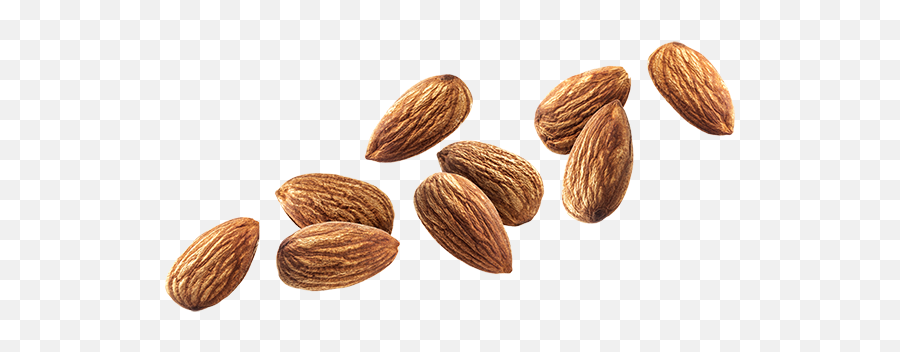 Download Free Nut Almond Hq Icon Favicon Freepngimg - Almond Png,Nut Icon
