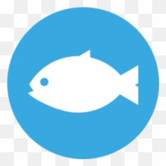 Catch Fish - Apps on Google Play Dating Site png