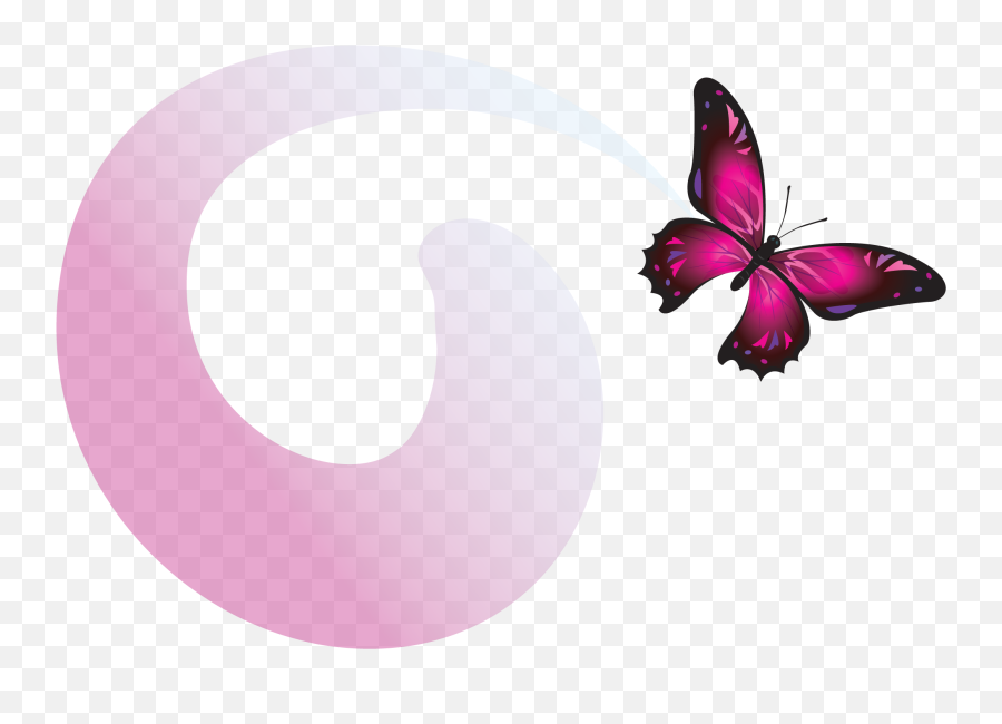 2017 Official Icon Trans Background The Nanny Matchmaker - 01 Papillon Video Png,Pink Butterfly Icon