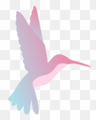 Transparent Png Svg Vector File - Beija Flor Png,Humming Bird Png