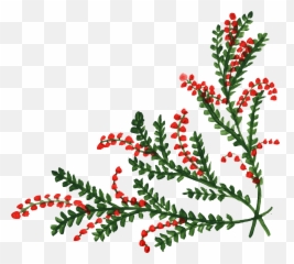 Download 9 Flower Corner - Floral Frame Png Full Christmas Holly Transparent