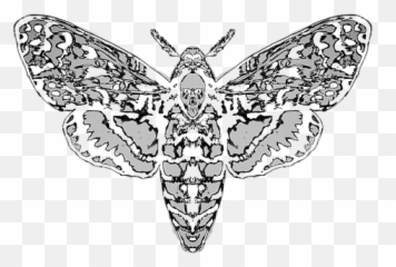 Harley Quinn Varsity Jacket Shayneofthedead - Hawk Moths Png,Harley Quinn Icon Tumblr
