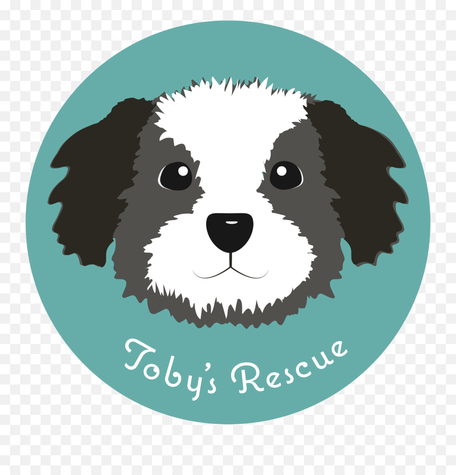 Adopted1 U2014 Tobyu0027s Rescue Finding Homes For Sato Dogs - Cavachon Png,Icon Border Collies
