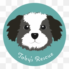 Adopted1 U2014 Tobyu0027s Rescue Finding Homes For Sato Dogs - Cavachon png