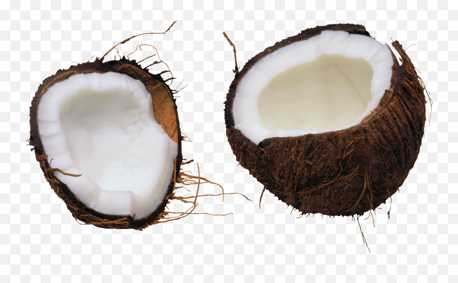 Coconut Png Image - Coconut,Coconut Png