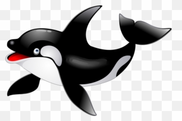 Killer Whale Vector Png Hd 6 Transparent Image For Free - Cartoon Png
