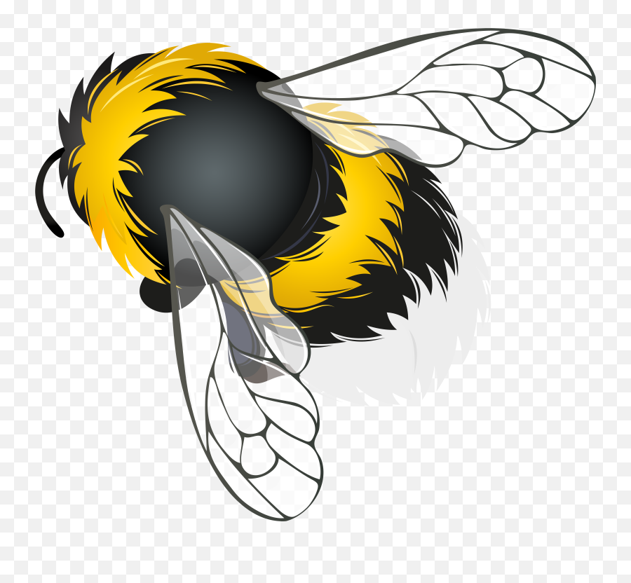 Clipart Bee Transparent Background - Bee Clipart Png,Bee Transparent Background