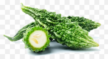Download Bitter Gourd Png - Karela Vegetable,Gourd Png