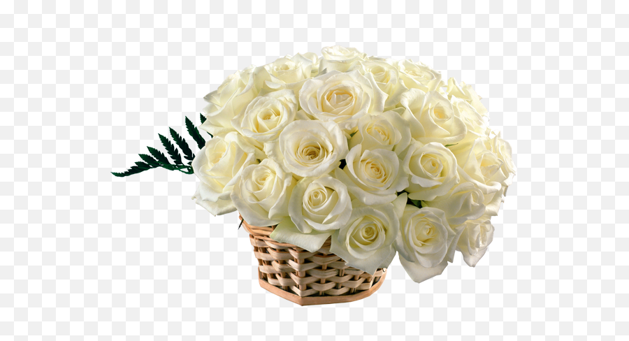 White Rose Bouquet - White Rose Bouquet Png,White Roses Png