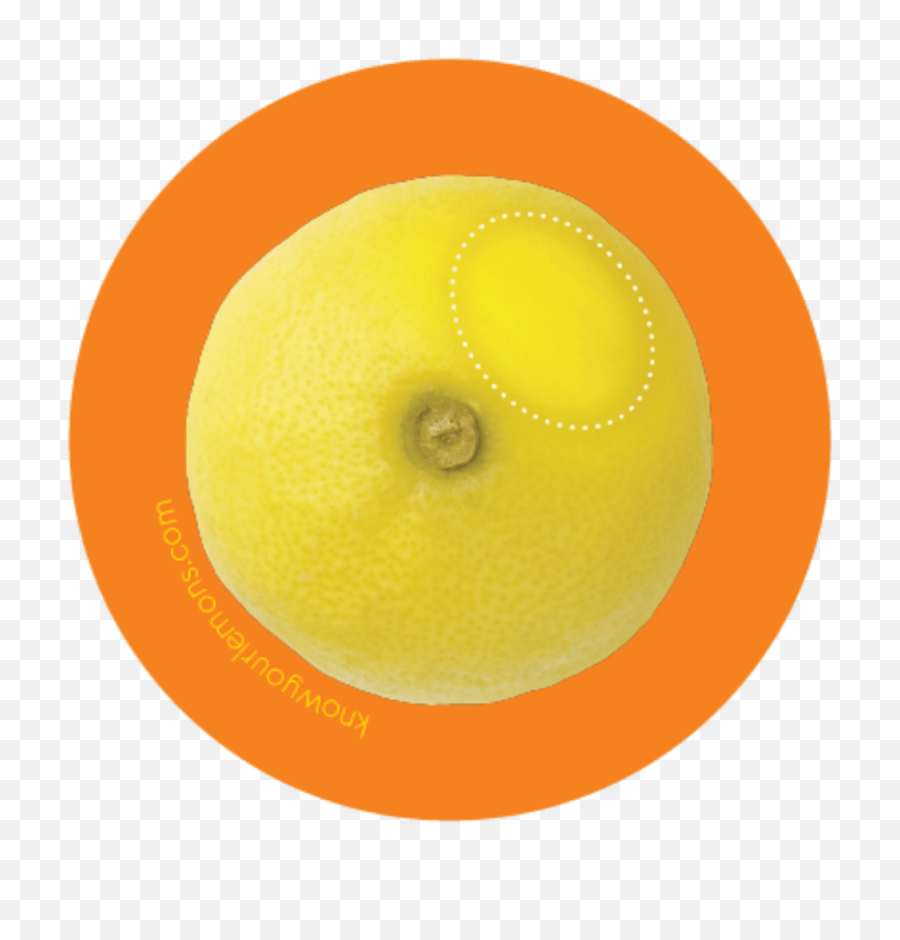 12 Signs Of Breast Cancer U2014 Knowyourlemons Health Png Symbol