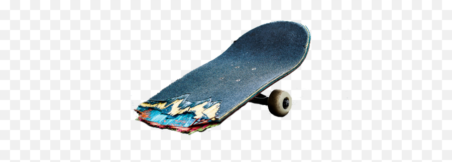 Roots - Freebord Png,Skateboard Transparent