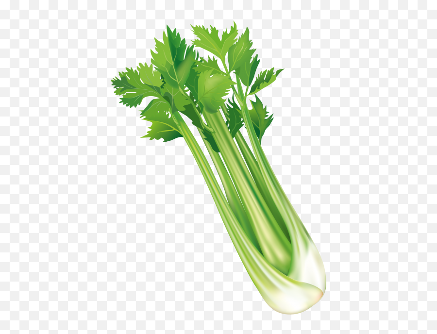 Mizuna Png Images - Celery Vector Png,Celery Png