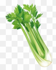 Mizuna Png Images - Celery Vector Png,Celery Png
