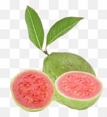 Guava Tone And Glow - Anthonyu0027s Key Resort Reservations Portable Network Graphics Png,Guava Png