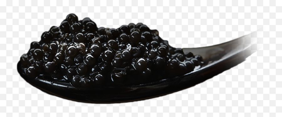 History - Imperial Heritage Caviar Png,Caviar Png