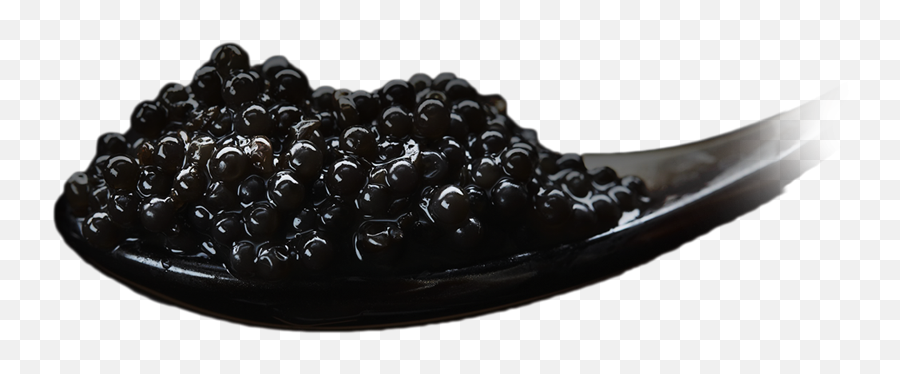 History - Imperial Heritage Caviar Png,Caviar Png History - Imperial Heritage Caviar Png,Caviar Png