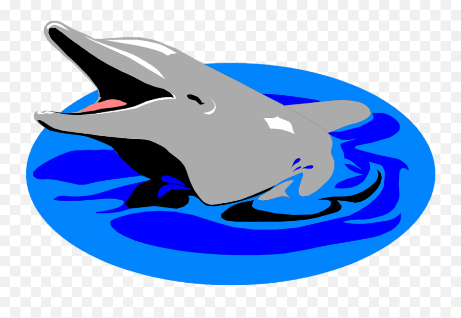 Clipart Dolphin Transparent Background - Dolphin In The Water Clipart Png,Dolphin Transparent Background