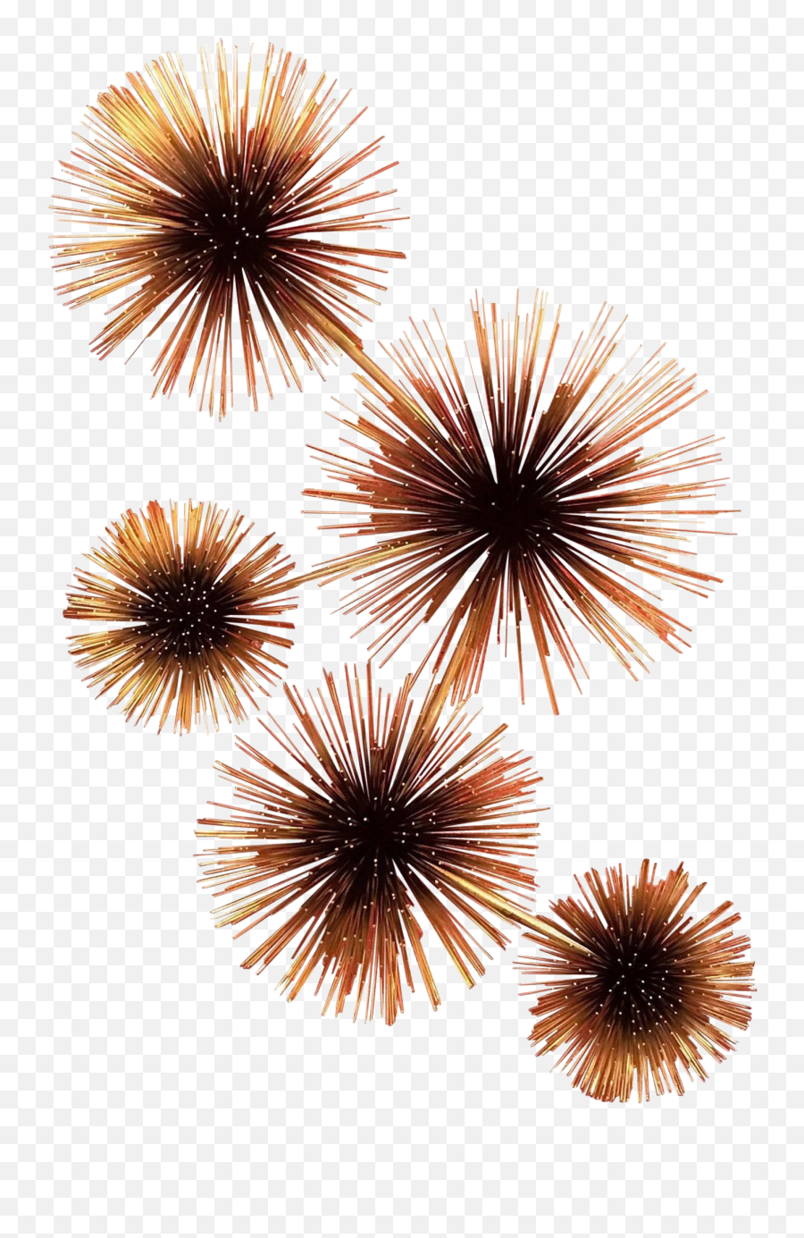 Curtis Jere Pom Or Sea Urchin Wall Sculpture - Fireworks Png,Sea Urchin Png