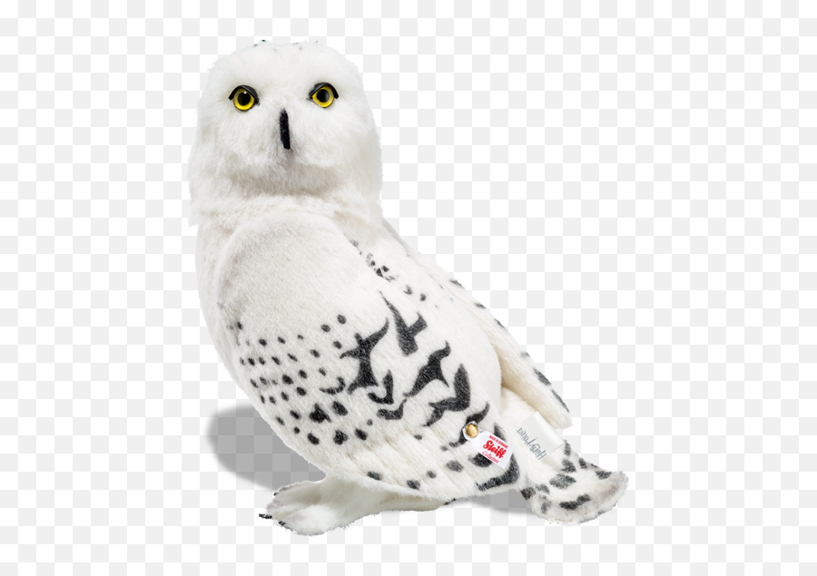 Hedwig Owl Alpaca White - Harry Potter Toys Uk Png,Hedwig Png