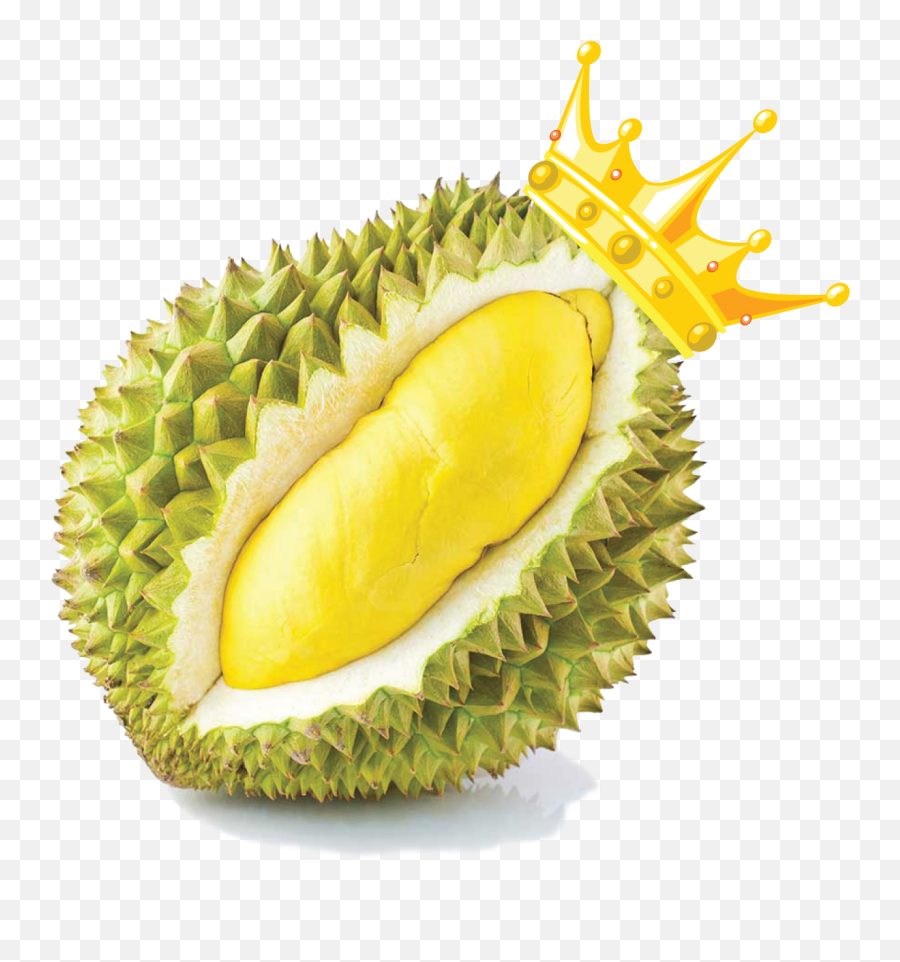 Cuisine Snack Food Zibethinus Durio - Durian Freeze Dried Sticky Rice Png,Durian Png
