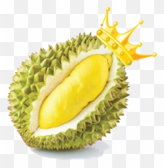 Cuisine Snack Food Zibethinus Durio - Durian Freeze Dried Sticky Rice Png,Durian Png